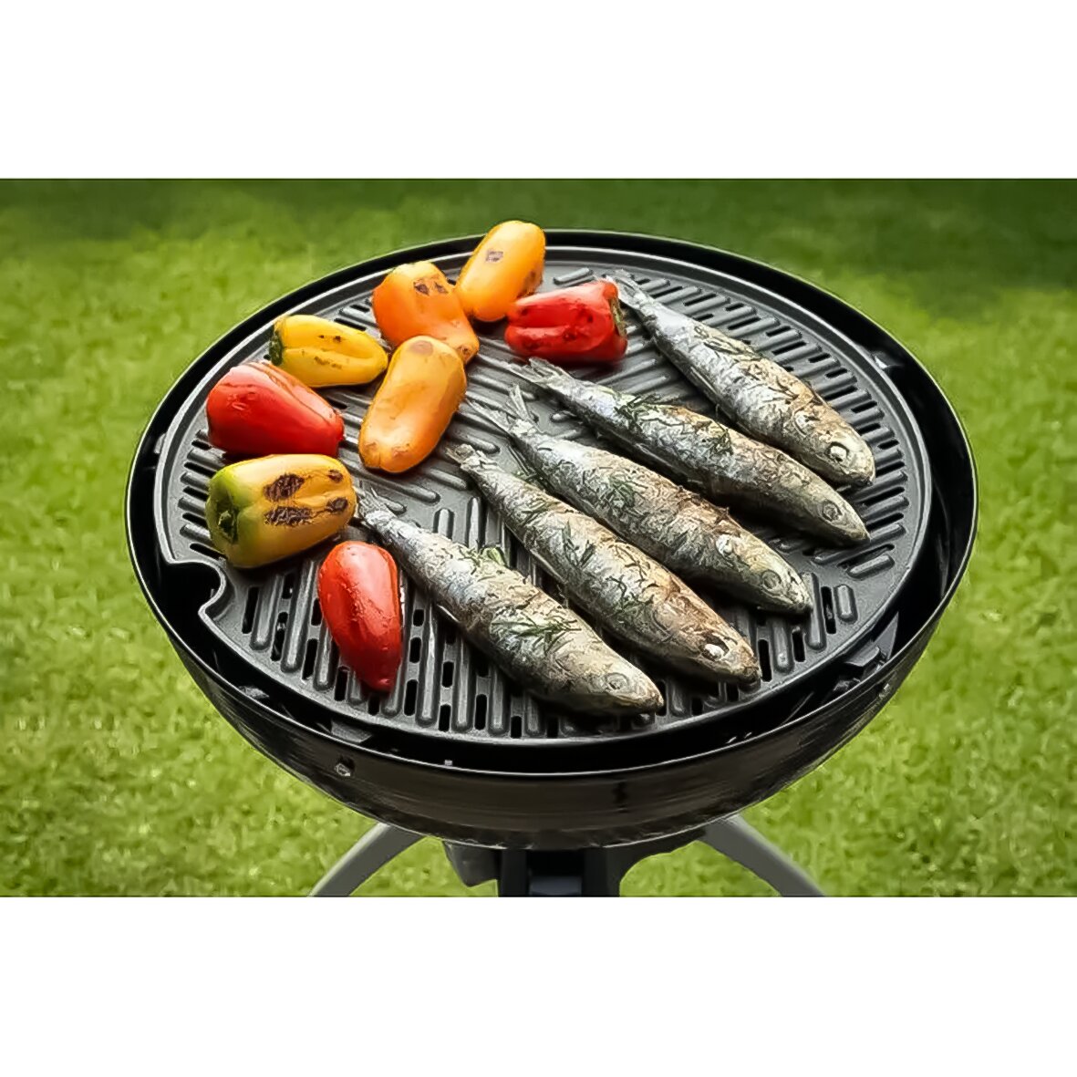 Grillrost BBQ Grid